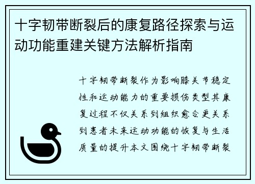 十字韧带断裂后的康复路径探索与运动功能重建关键方法解析指南