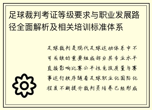 足球裁判考证等级要求与职业发展路径全面解析及相关培训标准体系